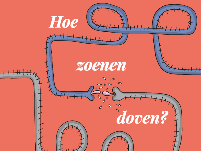 Hoe zoenen doven?